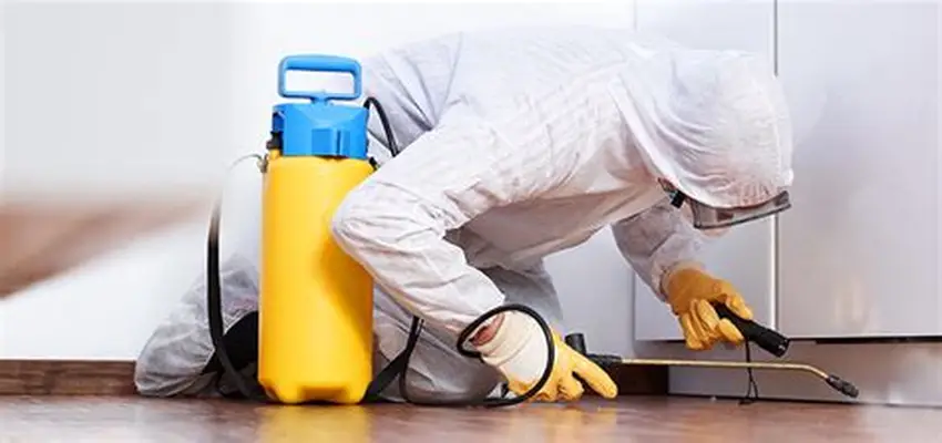 Personal realizando servicio profesional